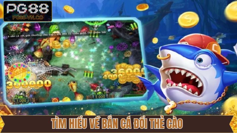 Thông tin tổng quan về săn cá đổi thẻ cào 